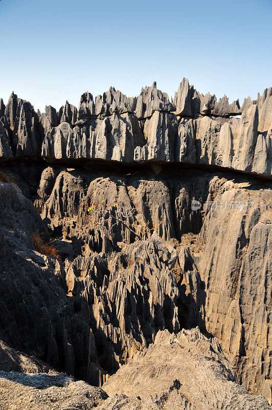 马达加斯加的Tsingy de Bemaraha